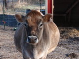 Emma