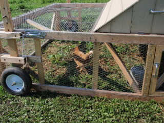 IPM Chicken Tractor