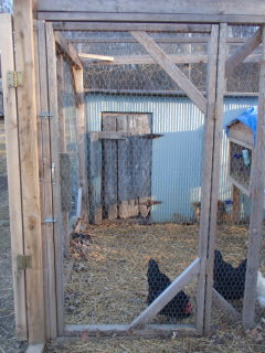 Moveable chicken pen