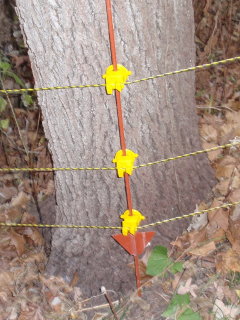 Electric fence on tree