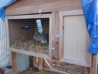 Rabbit Hutch