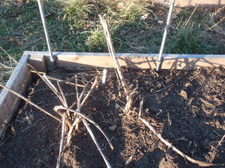 Mini-Hoop Houses